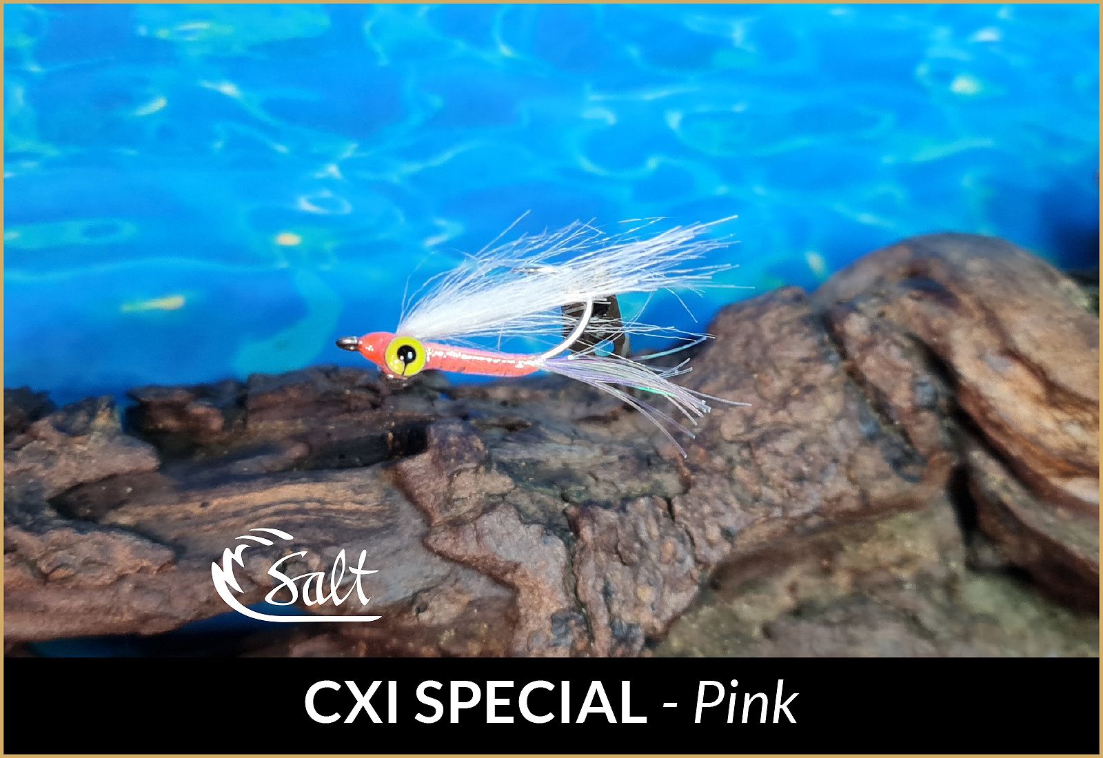 CXI Special Fly by C Salt